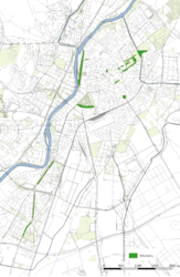 Masas de arbolado en el espacio público afectado por las alternativas