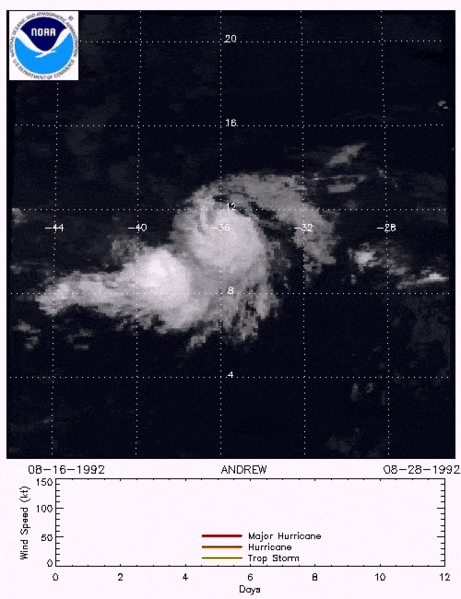 Archivo:1 ANDREW1992-compressor.gif