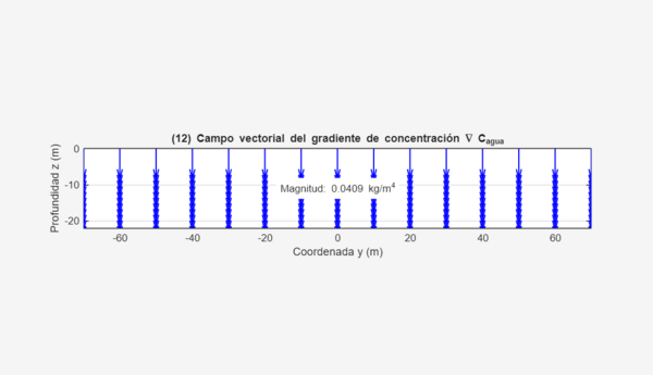 Figura 12: Campo vectorial del gradiente de concentración