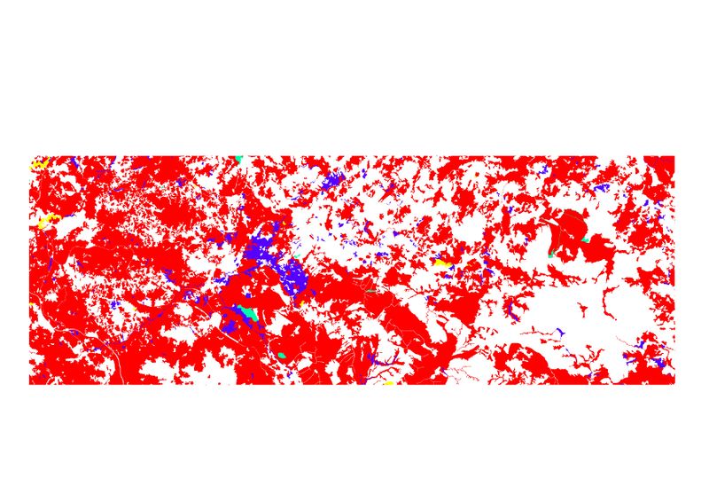 Archivo:Vegetacion final.jpeg