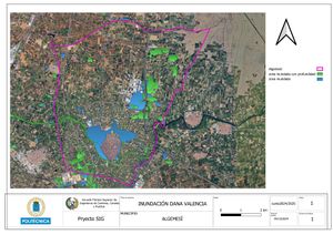 Evento dana en Algemesí page-0001.jpg