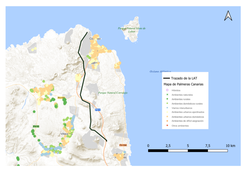 Archivo:Palmeras de Canarias.png